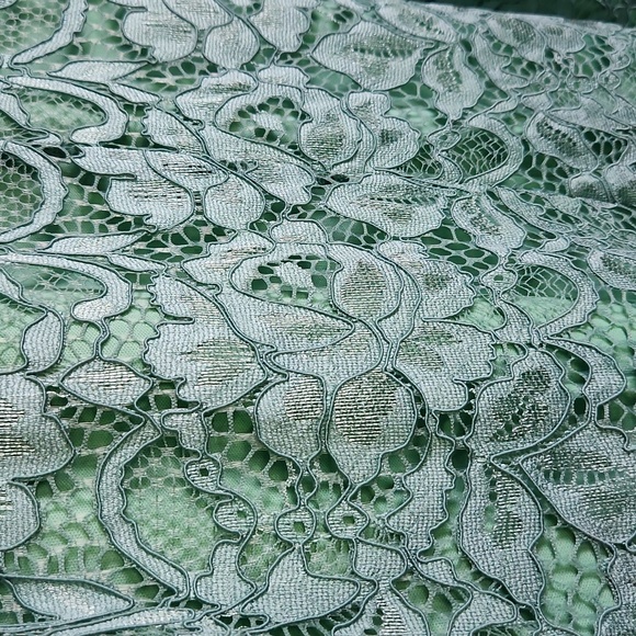 NWT Sea Green Lace Sam Edelman V Neck Shift Dress - Picture 5 of 8